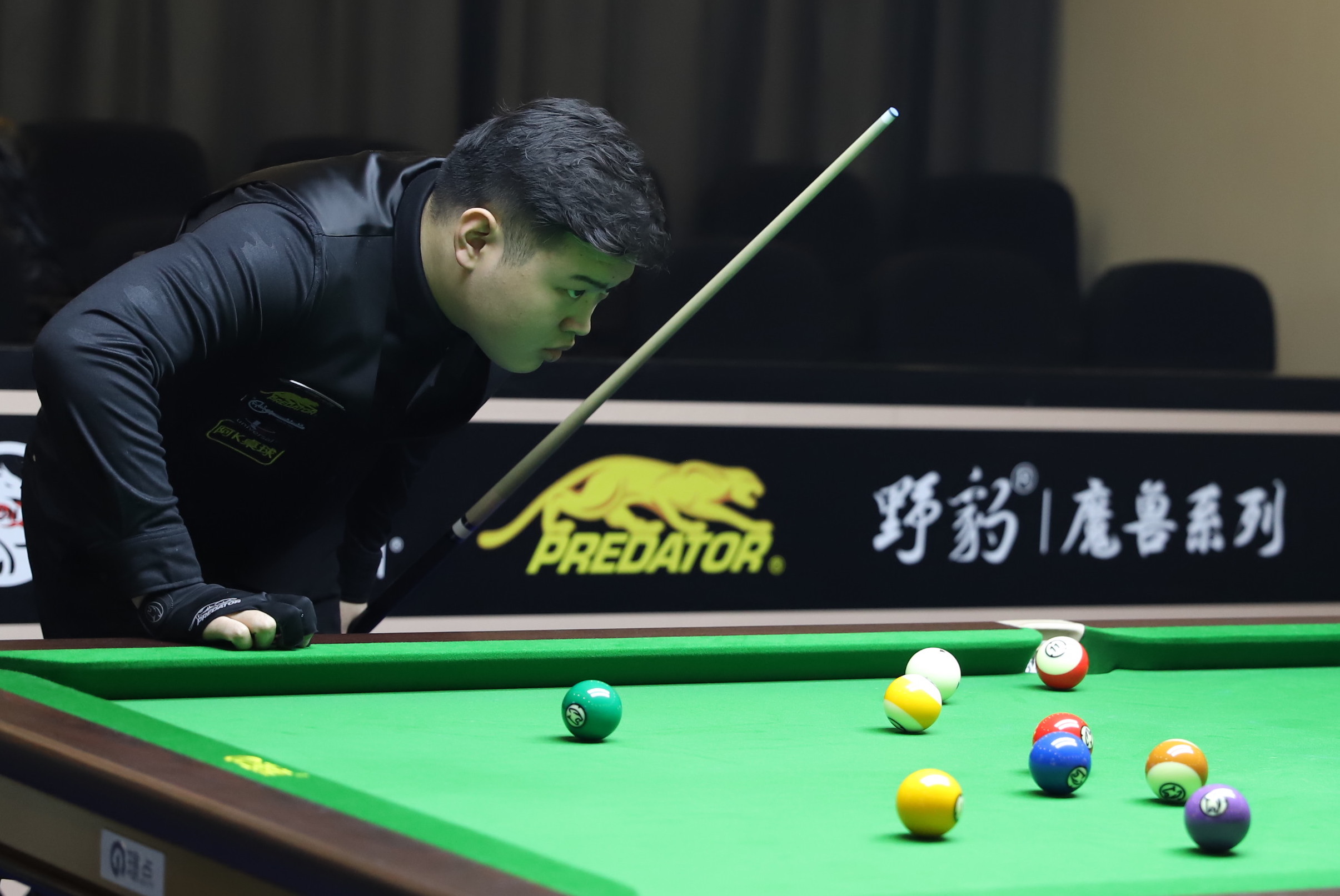 样不可忽视 样不可忽视